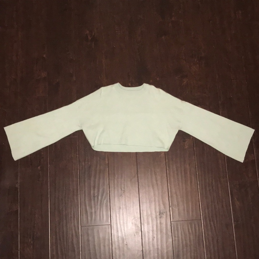 Zara Knit Crop Top Sweater